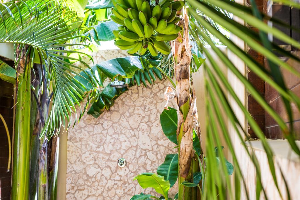 Bamboo Bonaire By Boutique Bonaire Unique Resorts Kralendijk na wyspie Bonaire Zewnętrze zdjęcie