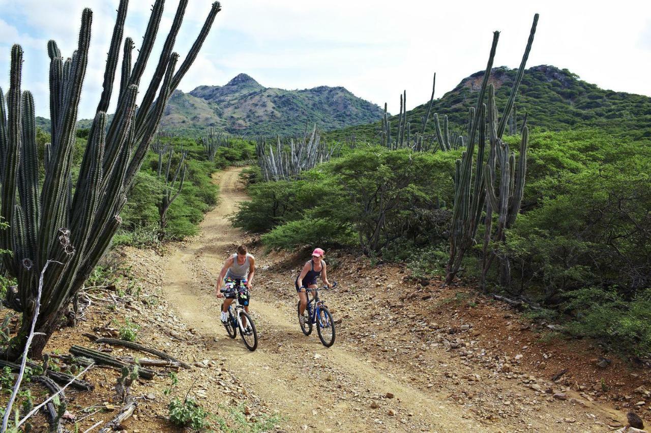 Bamboo Bonaire By Boutique Bonaire Unique Resorts Kralendijk na wyspie Bonaire Zewnętrze zdjęcie