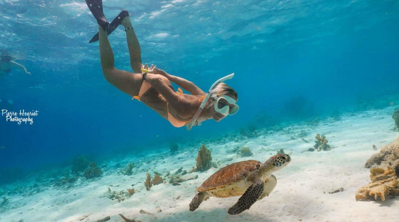 Bamboo Bonaire By Boutique Bonaire Unique Resorts Kralendijk na wyspie Bonaire Zewnętrze zdjęcie